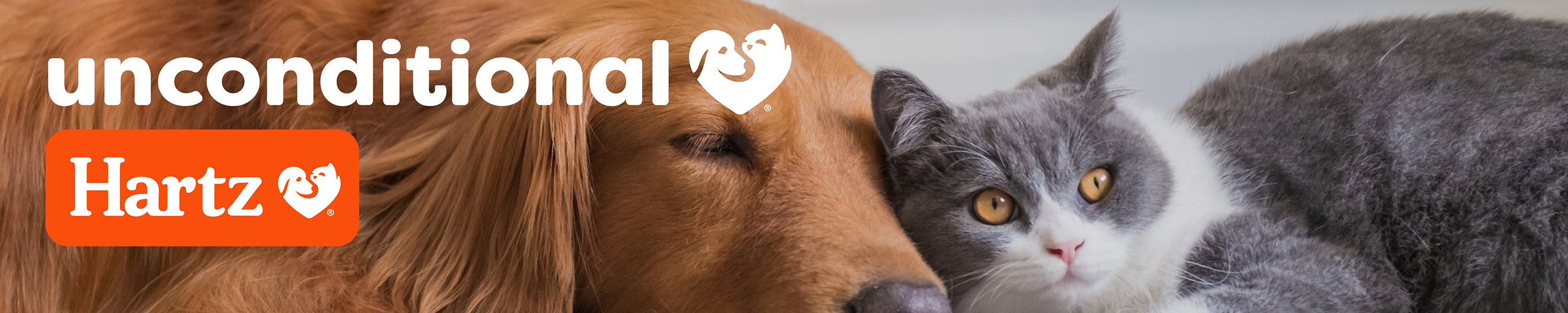 Trusted Care for Happy Pets